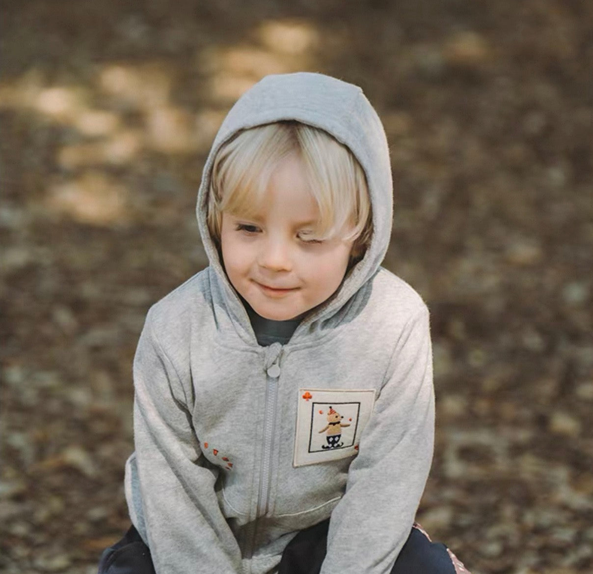 Little Story Zip Hoodie